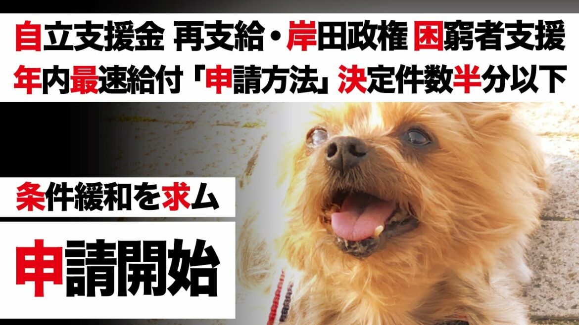 自立支援金 再支給 申請開始【低所得世帯への給付金 12/12時点 最新情報・岸田政権 生活困窮者支援】年内から順次支給「申請書類と方法 解説」大阪府 最強説「全国 約3割」【厚生労働省】