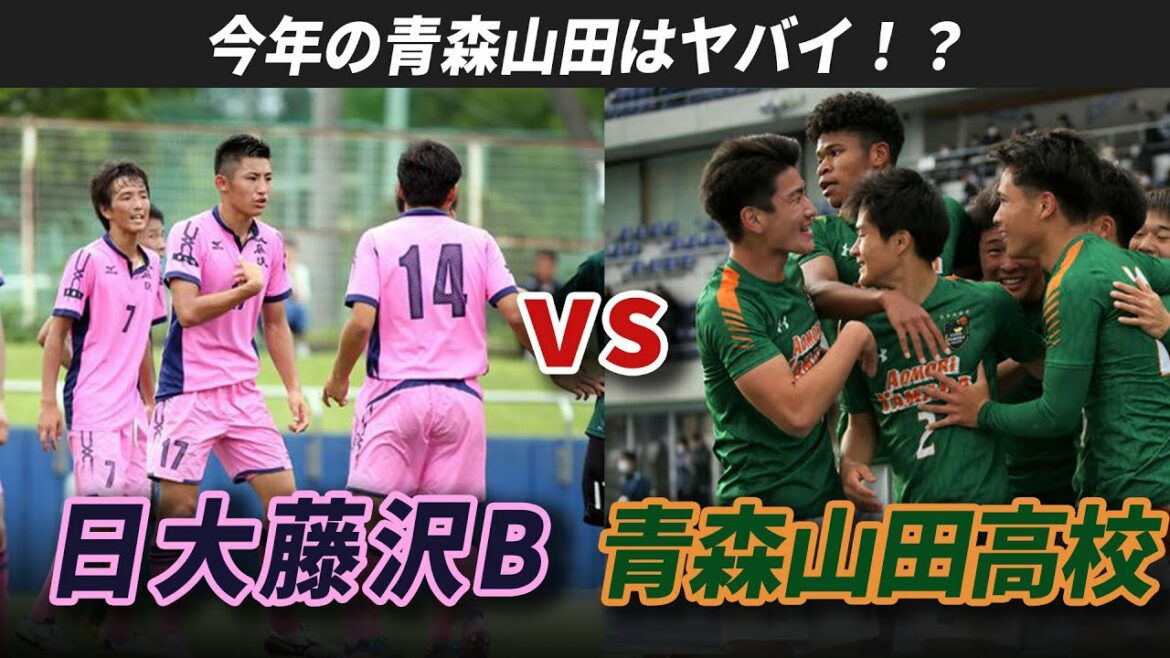 【高校サッカー】今年の青森山田はヤバイ！？青森山田高校VS日大藤沢B～後半～