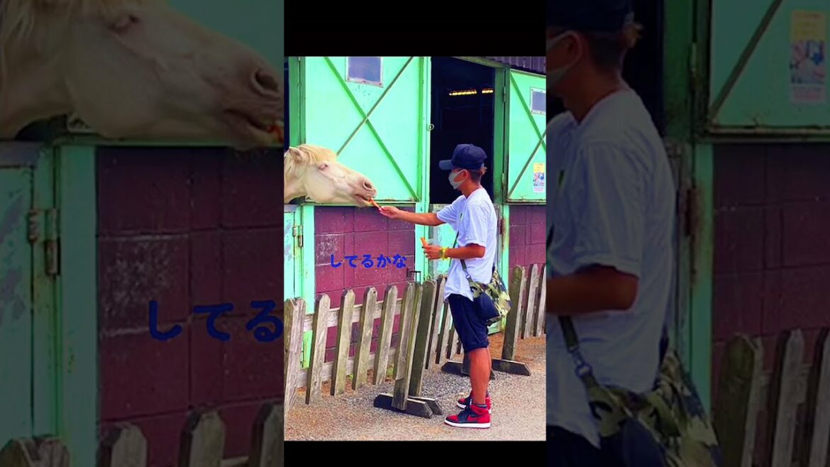 「嵐」大野智の最近の写真。
