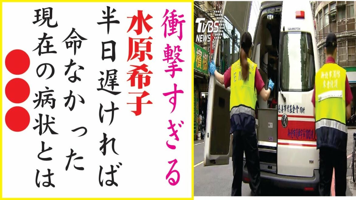 水原希子の現在！今現在の様子がヤバすぎる・・・