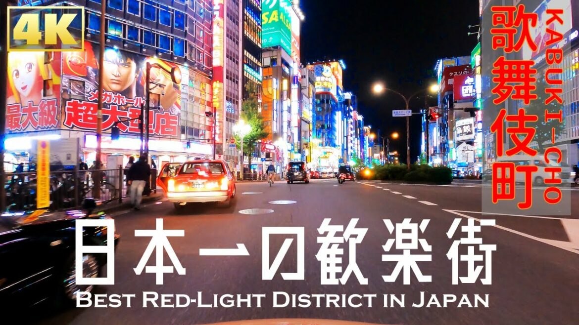 4Kドライブ癒しBGM【約30分作業用】歌舞伎町 緊急事態宣言解除後
