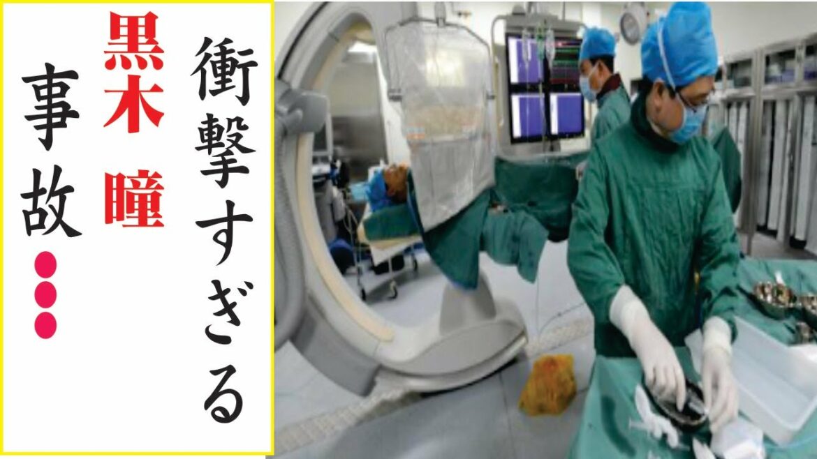 黒木 瞳の現在！今現在の様子がヤバすぎる・・・