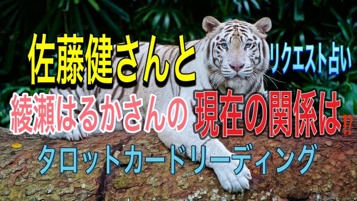 佐藤健さんと綾瀬はるかさんの現在の関係は⁉️視聴者様リクエストタロット占い
