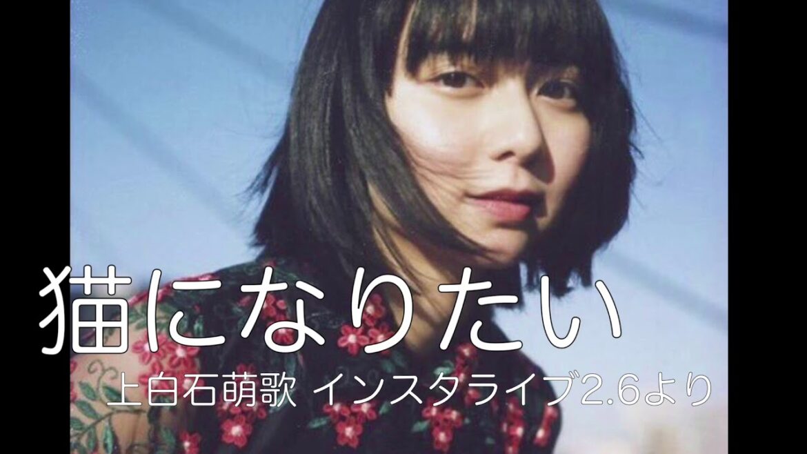 『猫になりたい』　上白石萌歌　インスタライブ