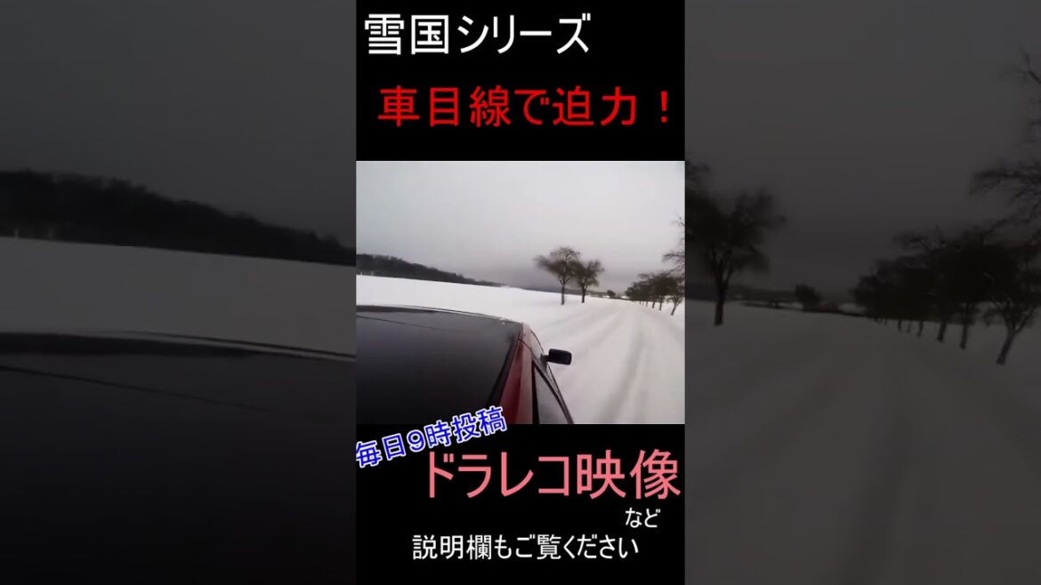 【ドラレコ】車目線で迫力【事故】【面白】【衝撃】映像など#shorts