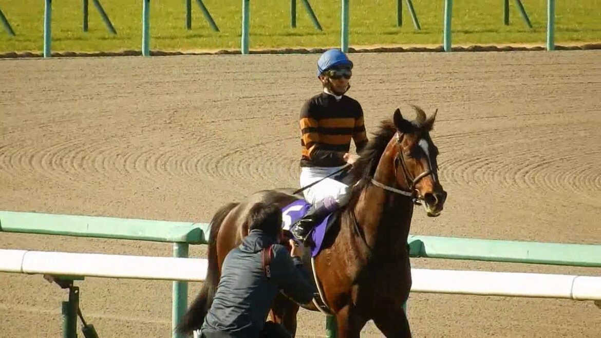 第61回大阪杯2017/キタサンブラック　完勝に観客も納得(2017.4.2)