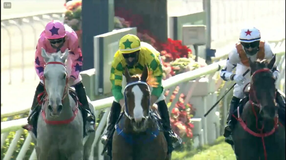 香港スプリント 2021 結果【香港国際競走】