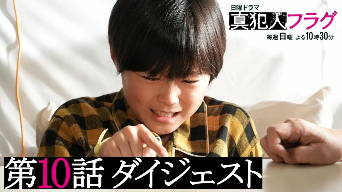 【西島秀俊 芳根京子 宮沢りえ】日曜ドラマ「真犯人フラグ」第10話がわかるダイジェスト！【真相編スタートは1/9(日)よる10:30】