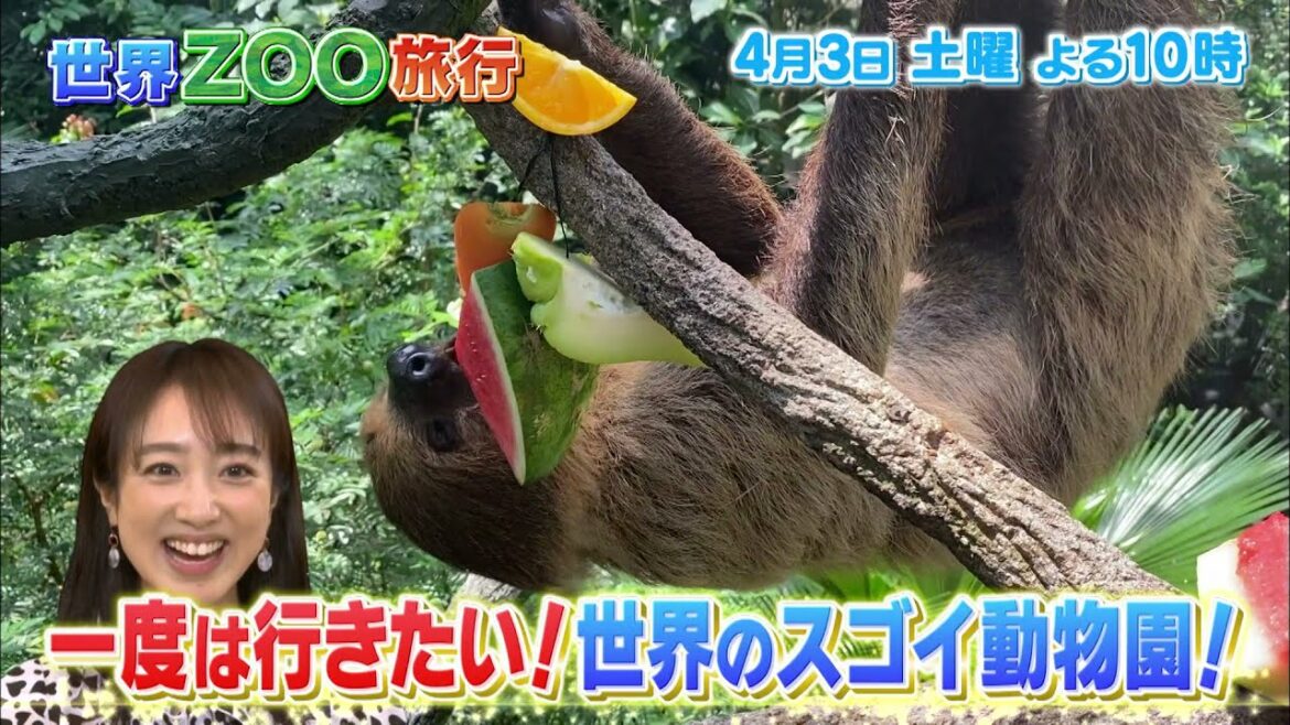 【世界ＺＯＯ旅行】アンタッチャブル柴田＆川田裕美がナビゲート！4月3日再放送決定！