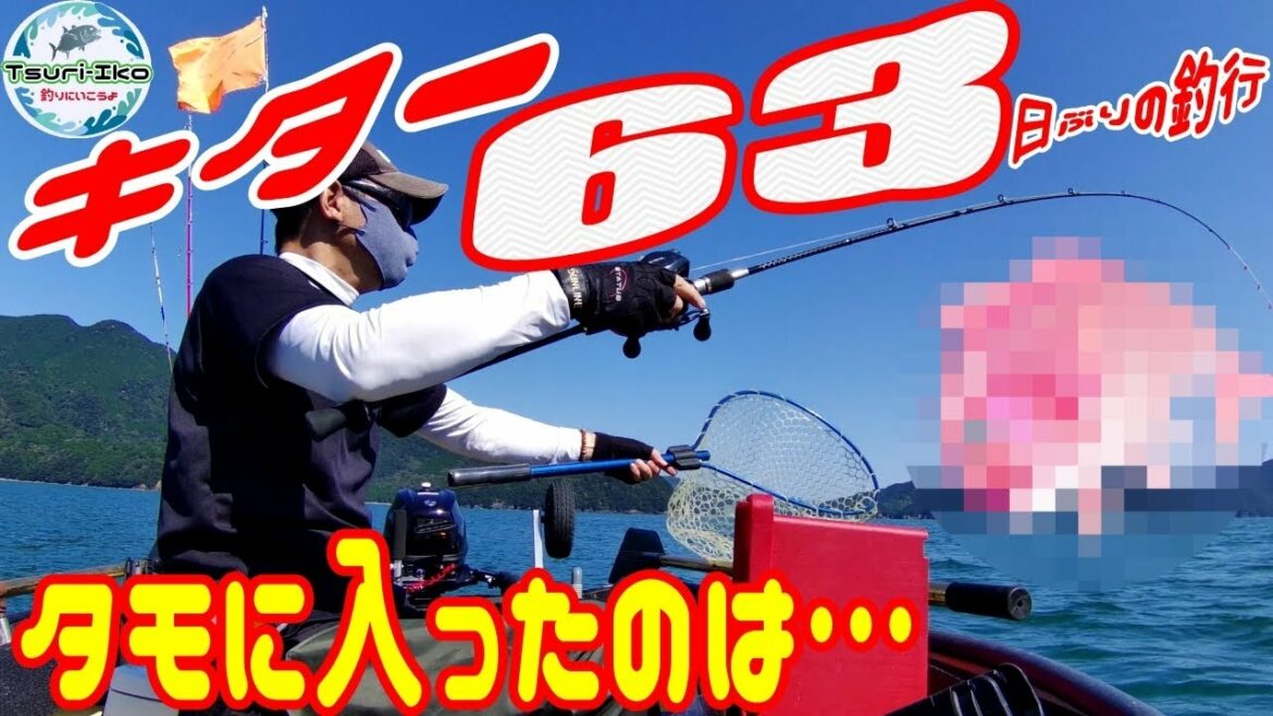 【2馬力 ミニボート】待ちに待った緊急事態宣言解除! 63日ぶりの釣行でタモに入ったのは…。 三重県紀東エリアで鯛ラバ ( タイラバ )♪ ポータボート (PORTA BOTE 10ft)