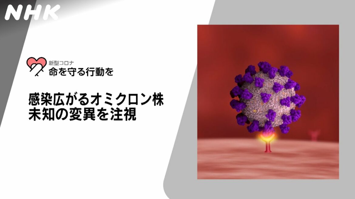 [新型コロナウイルス] 感染広がるオミクロン株 未知の変異を注視 | 命を守る行動を | NHK