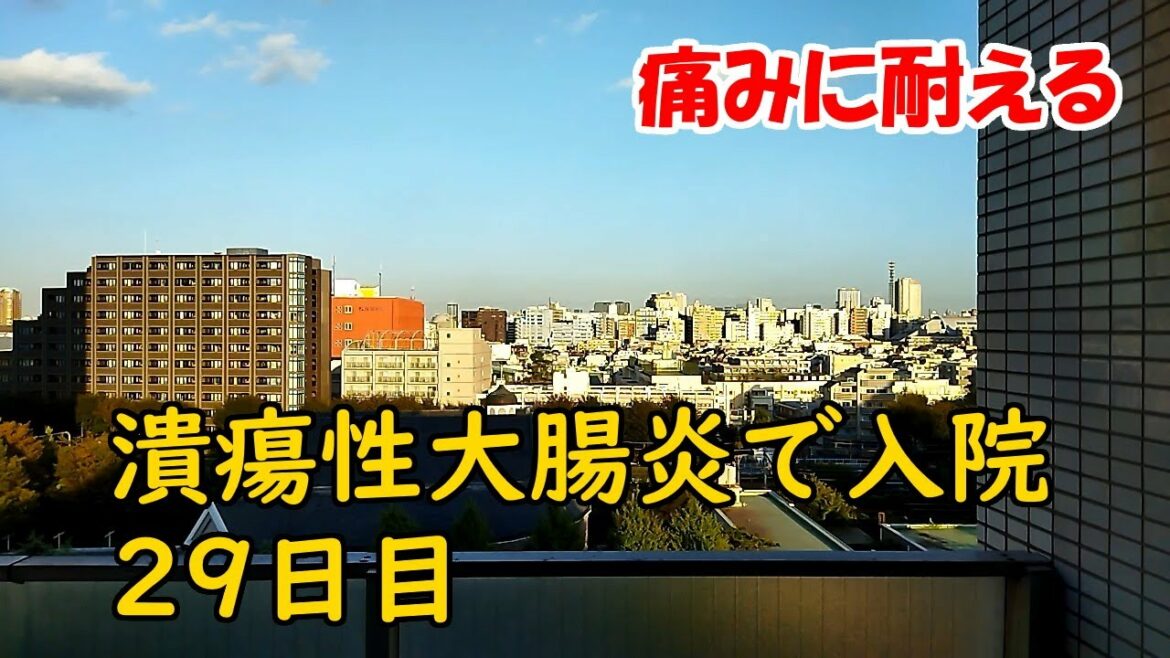 潰瘍性大腸炎で入院　29日目　痛みに耐える　2021/10/4