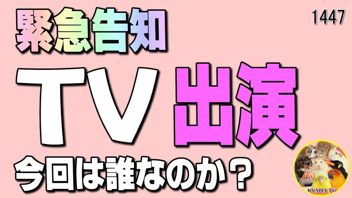 【緊急告知】TVに出ます💛テレビ東京 12月22日18：25～【内村のツボる動画】出演・内村光良さん、近藤春菜さん、小山慶一郎さん
