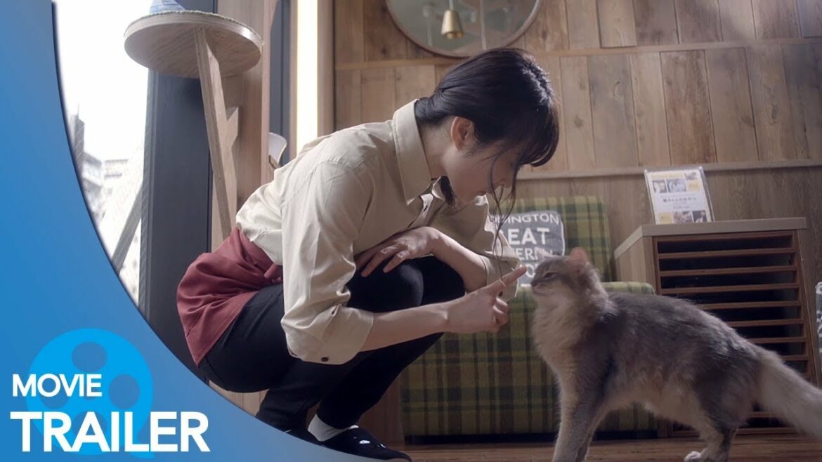 【予告編#1】猫カフェ (2018) - 久保ユリカ,新井愛瞳,小倉優香