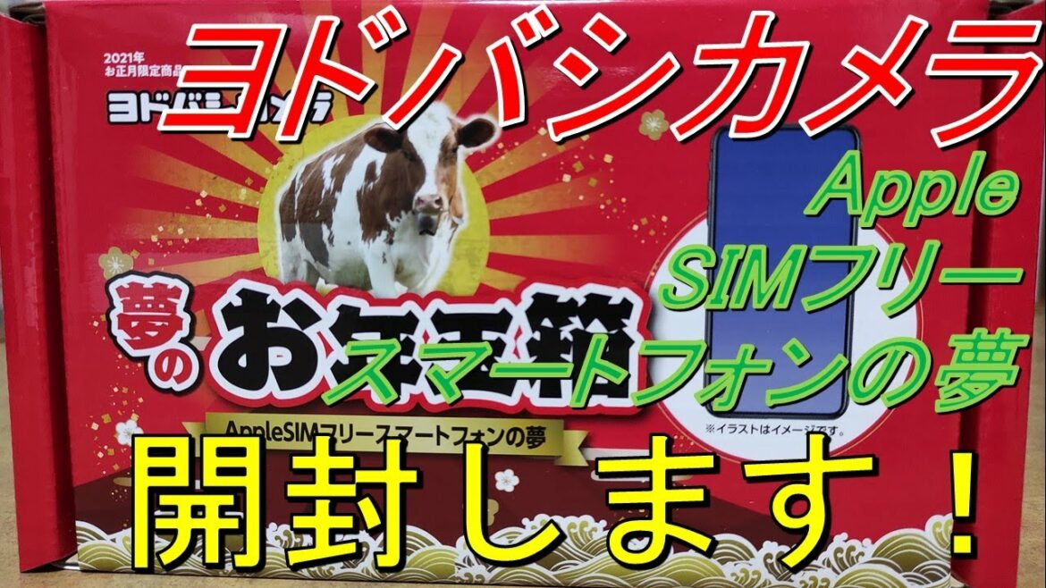 【福袋2021】ヨドバシカメラ/Apple SIMフリースマートフォンの夢【開封】
