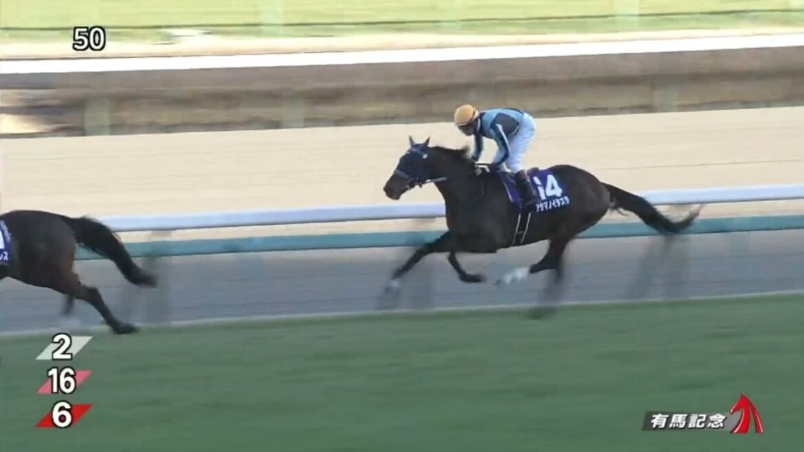 有馬記念2021　結果