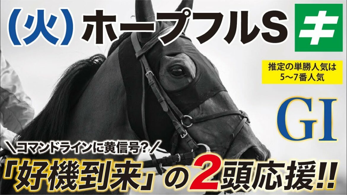 ホープフルステークス 2021 【予想】まさかのコマンドラインに黄信号！？好機到来の「２頭」を応援だ！