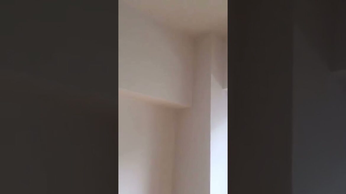 【のぴた。】一人暮らし退去時に倖田來未さんの「愛を止めないで」をアカペラで歌ってみた。#short