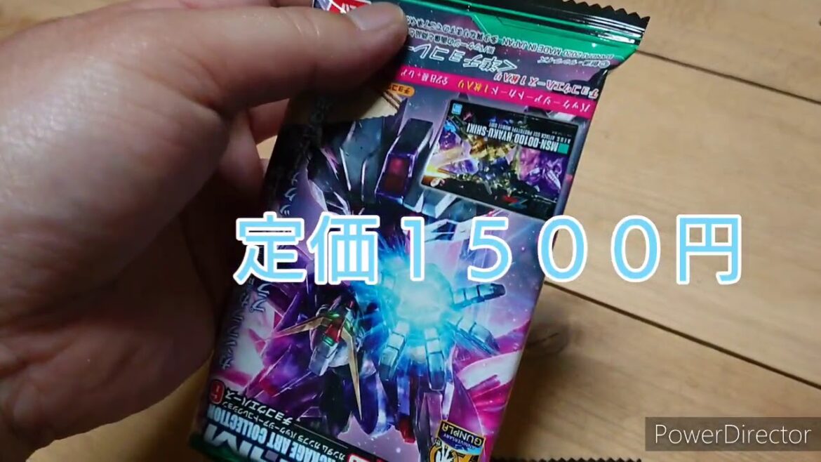 2021年ガンプラ福袋開封動画… のはずだけど…( ノД`)…