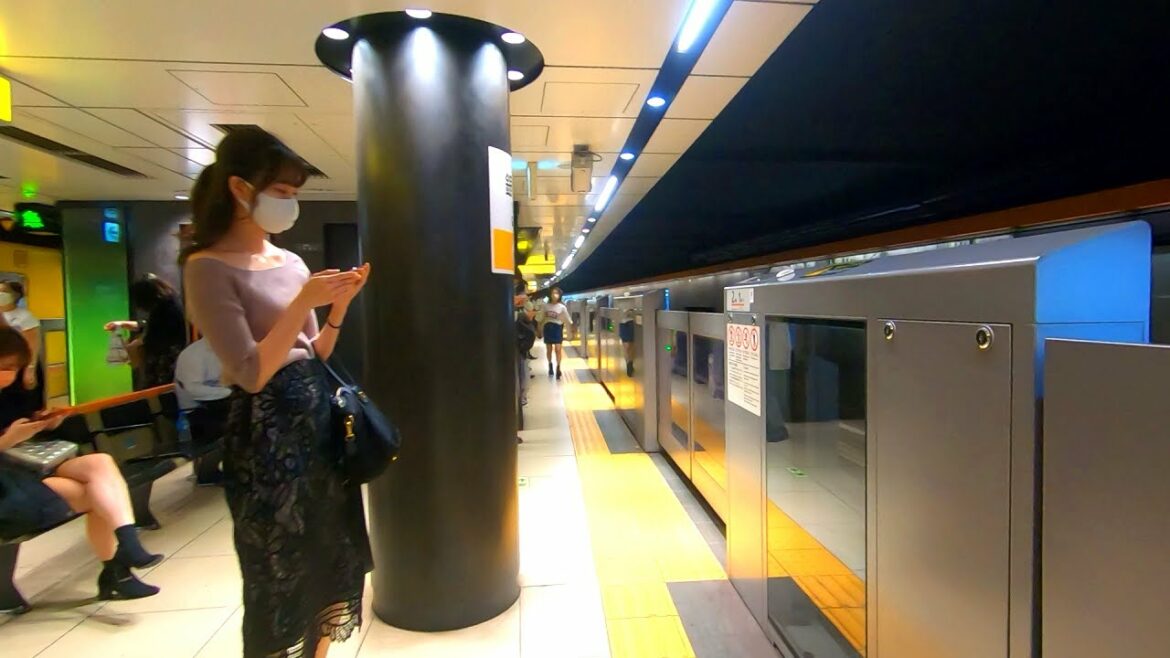 【緊急事態宣言後】銀座駅構内を散策!東京メトロ銀座線、日比谷線、丸ノ内線(Japan Walking around Ginza Station) 【緊急事態宣言後】銀座駅構内を散策!東京メトロ銀座線、日比谷線、丸ノ内線(Japan Walking around Ginza Station)