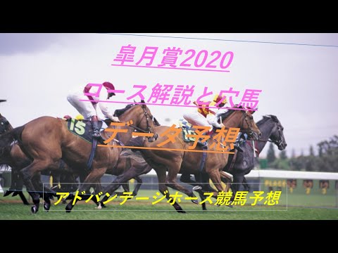 皐月賞2020 コース解説と穴馬 データ予想 皐月賞2020 コース解説と穴馬 データ予想