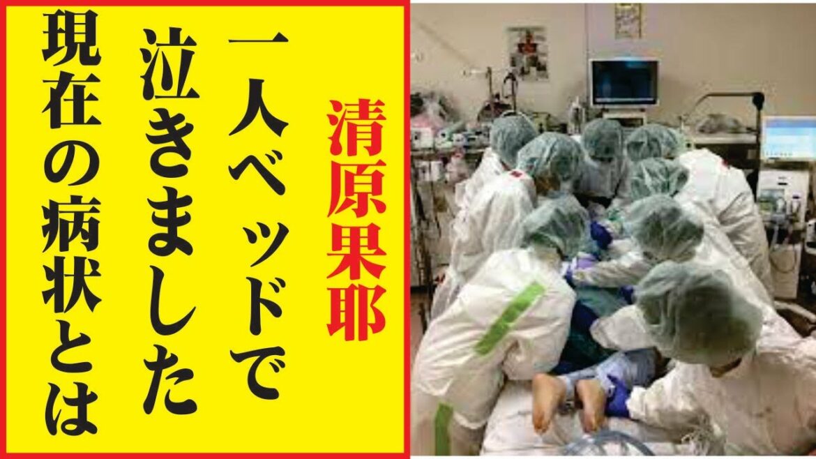 清原果耶、今現在が衝撃的すぎる！