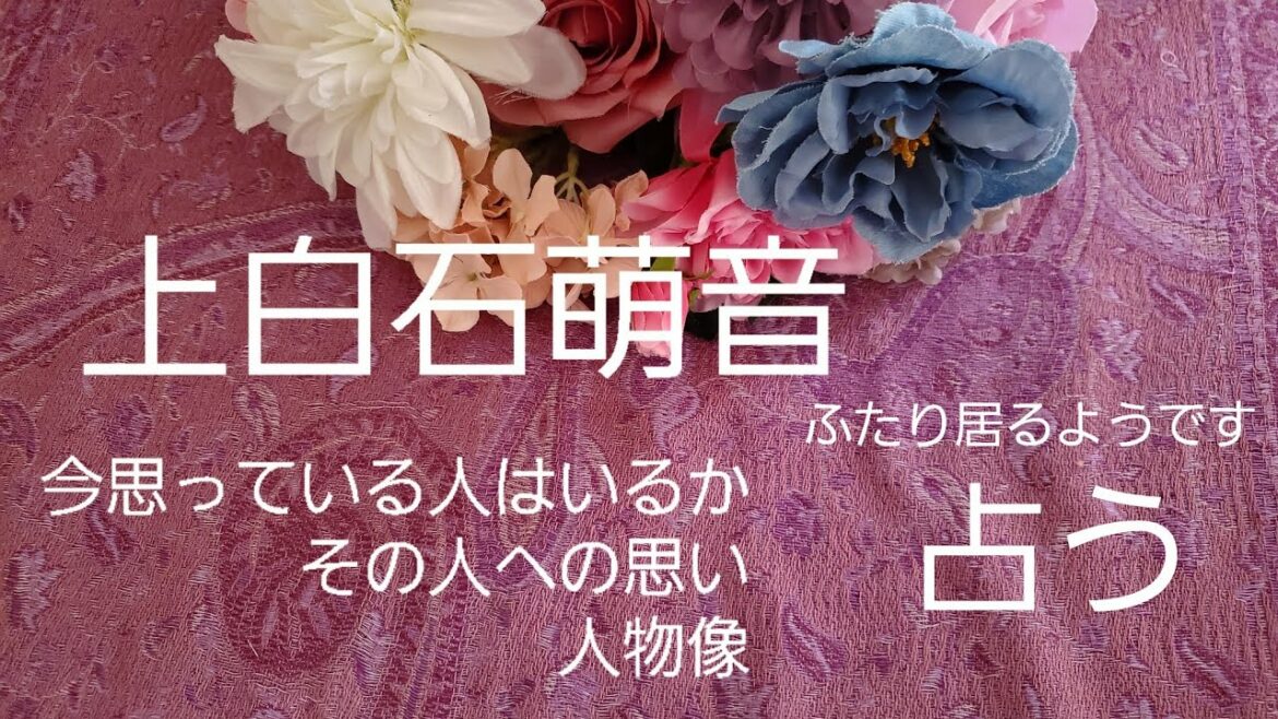 【占い】上白石萌音、今思っている人への気持ち、人物像をタロットでみた
