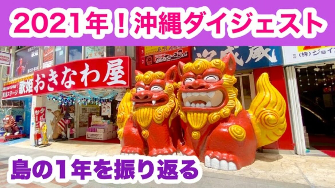 【2021年 沖縄ダイジェスト】島の1年を振り返る「年間動画 全80本」を編集 【2021年 沖縄ダイジェスト】島の1年を振り返る「年間動画 全80本」を編集