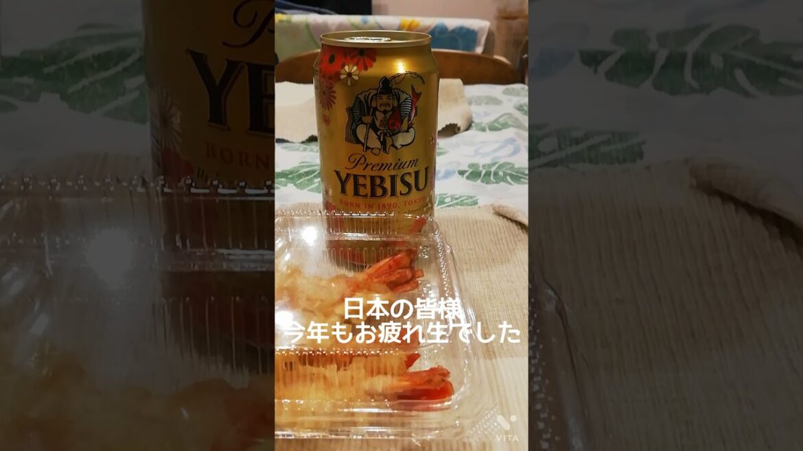 #ガッキーのまねをしてみた。年越し編