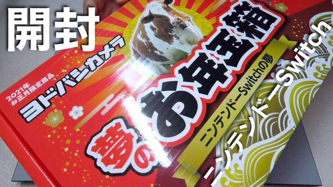 2021ヨドバシ夢のお年玉箱ニンテンドーSwitchの夢 開封