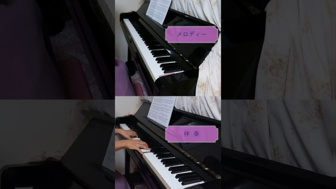 Time After Time🎹　６分の１Version　　　　　　　　　　　　藤井 風Cover Version