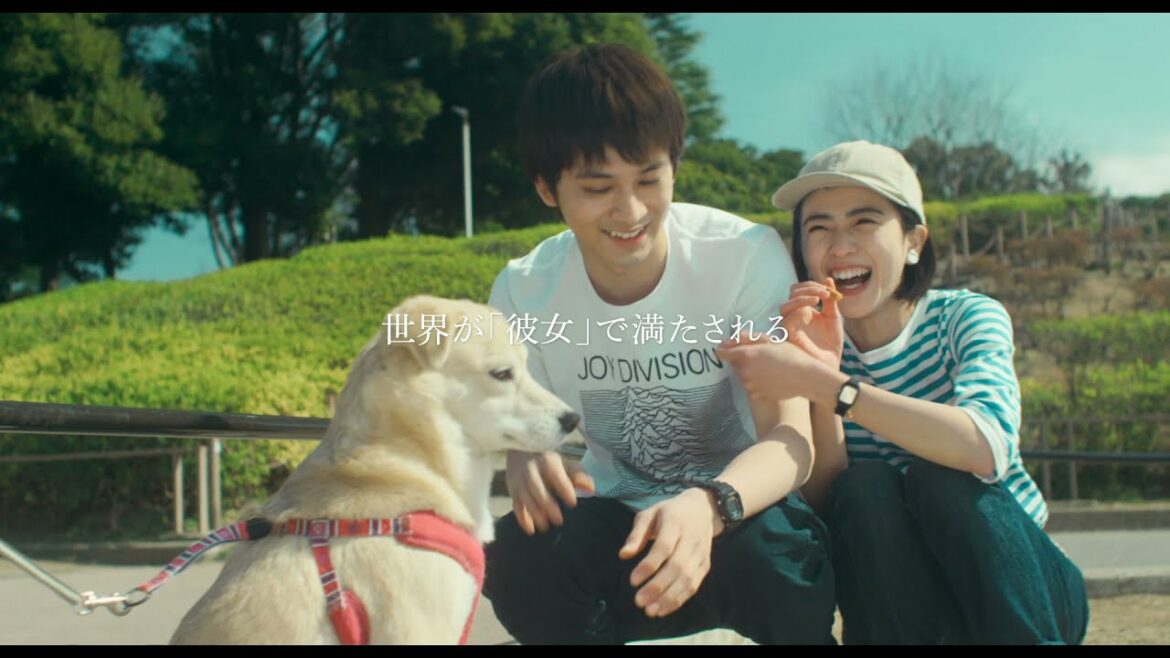 北村匠海が泣き叫ぶ！『明け方の若者たち』予告映像