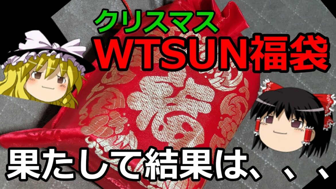 【中華イヤホン福袋】WTSUNクリスマス福袋‼果たして結果は、、