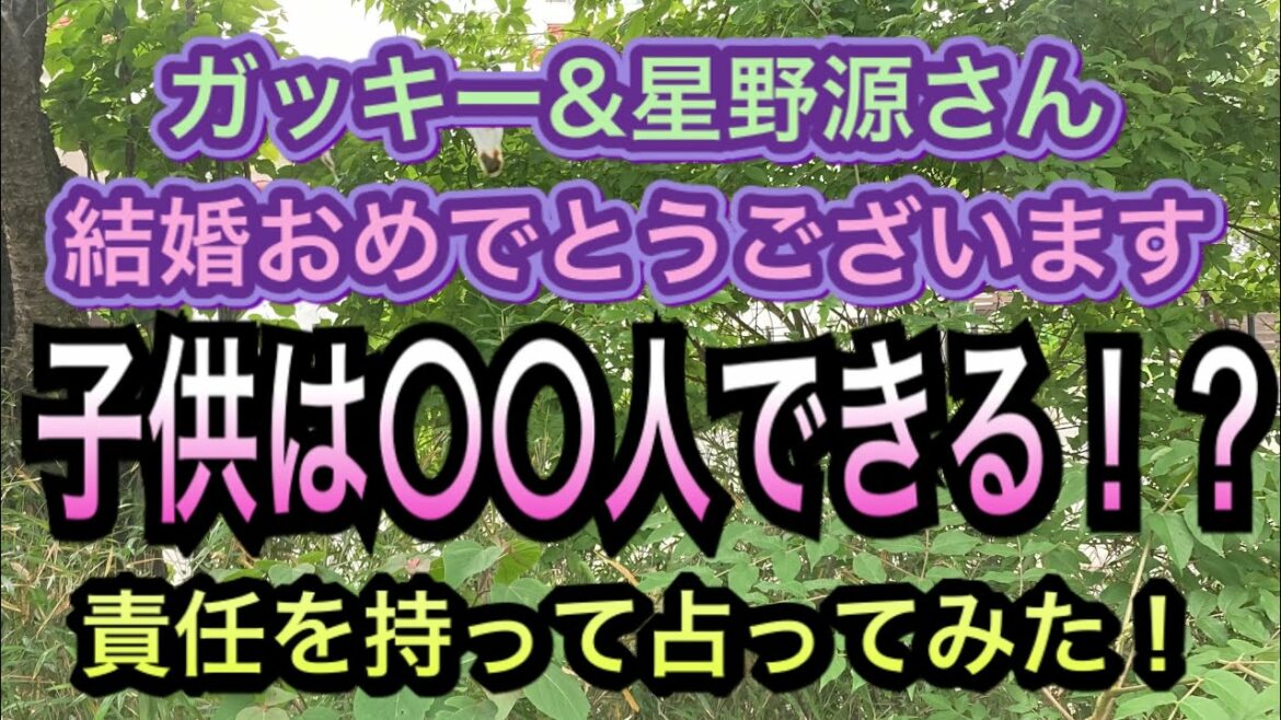 【占い】子供は〇〇人！？星野源さんと新垣結衣さん、ご結婚おめでとうございます！