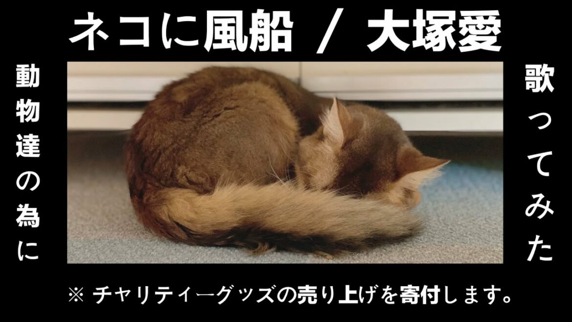 【歌ってみた】ネコに風船／大塚愛〜チャリティーグッズの売り上げを動物達に寄付します。〜