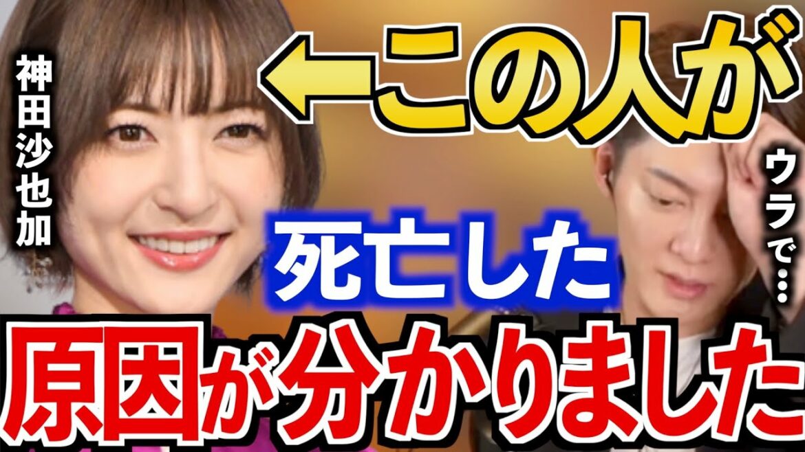 【神田沙也加】飛び降りの原因を作ったのは●●です...もう逃げ場がなかったんだと思います【神田沙也加/神田正輝/松田聖子/切り抜き】