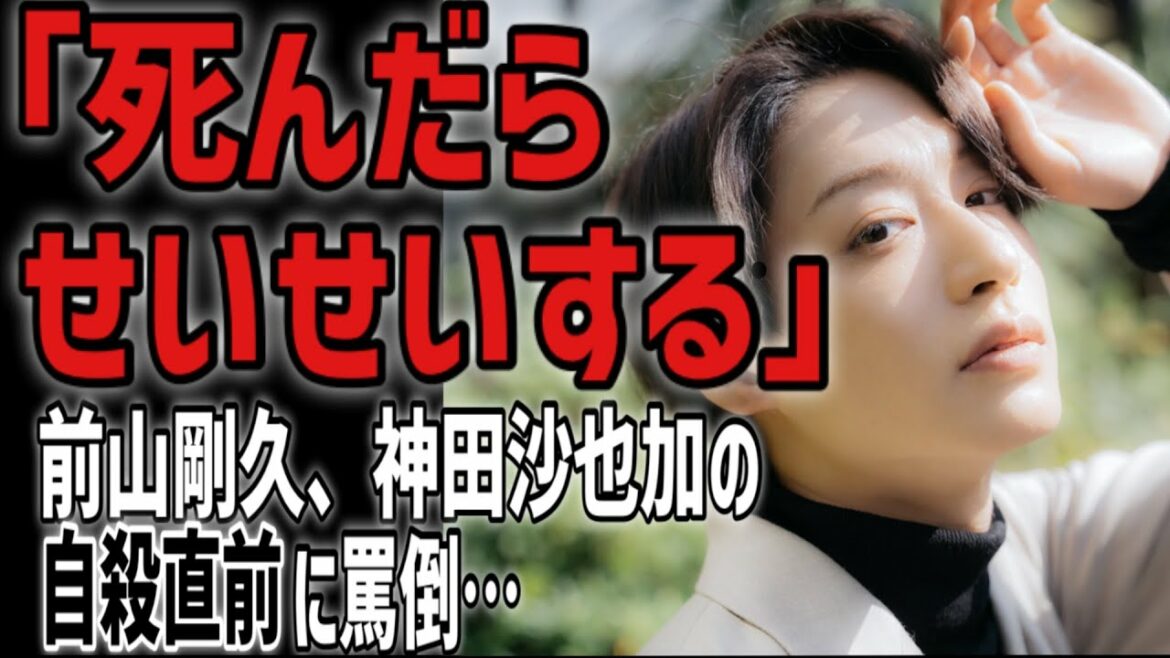 【読み上げ】前山剛久、神田沙也加の自殺直前に罵倒していた。音声データも存在