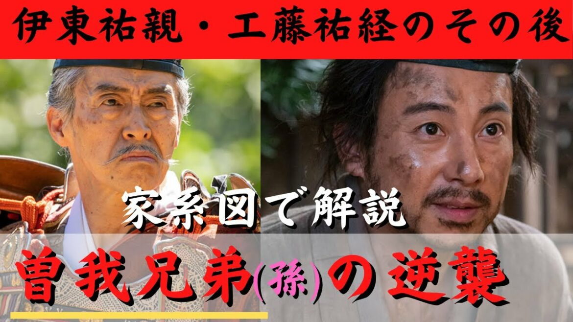 【鎌倉殿の１３人】日本三大敵討ち！伊東祐親と工藤祐経のその後！（歴史解説）