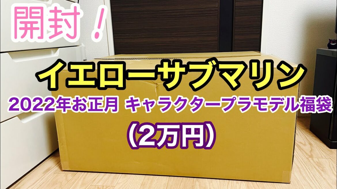 【開封】イエローサブマリン 2022年お正月 キャラクタープラモデル福袋（2万円）