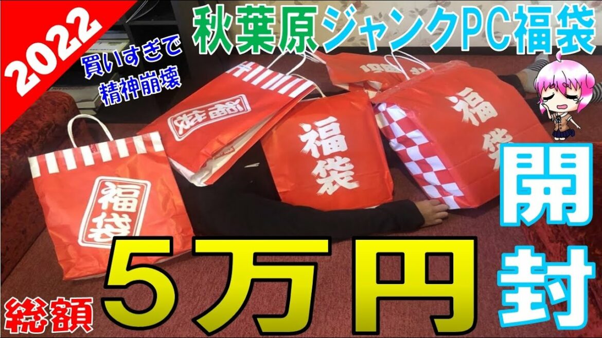 【開封】元旦秋葉原で5万円分のジャンクPC福袋を買って精神崩壊した