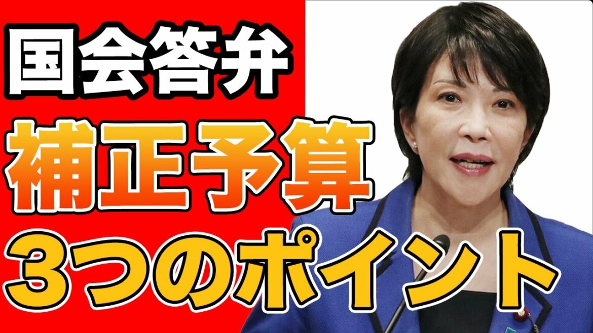 【高市早苗】予算委員会で語った、補正予算3つのポイント