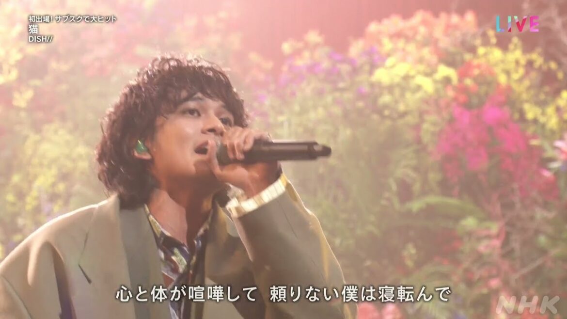 【NHK紅白】DISH//『猫』