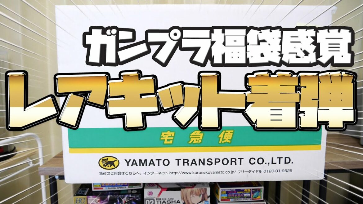 ガンプラ福袋感覚！大量のレアキットが着弾したので開封 & METAL BUILD ハイニューガンダムの展示をみてきました！