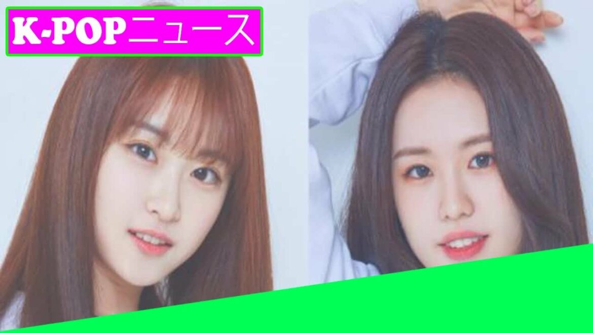 今後の新人ガールグループILY：1が岸田文雄と早瀬花のデビュー前のプロフィールを公開