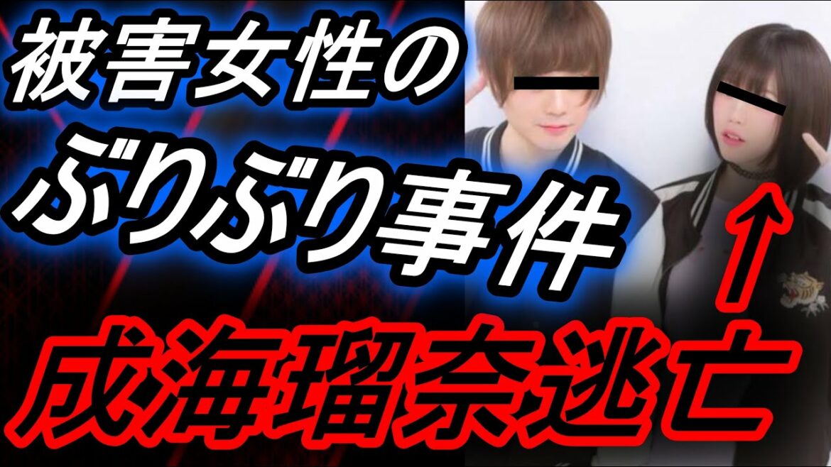 成海瑠奈が逃亡！？被害女性が、ぶりぶりで大炎上・・・その後が....【浮気、有名YouTuber、有名アイドル、ゲーム実況者、コレコレ、もこうの実況】【REN】