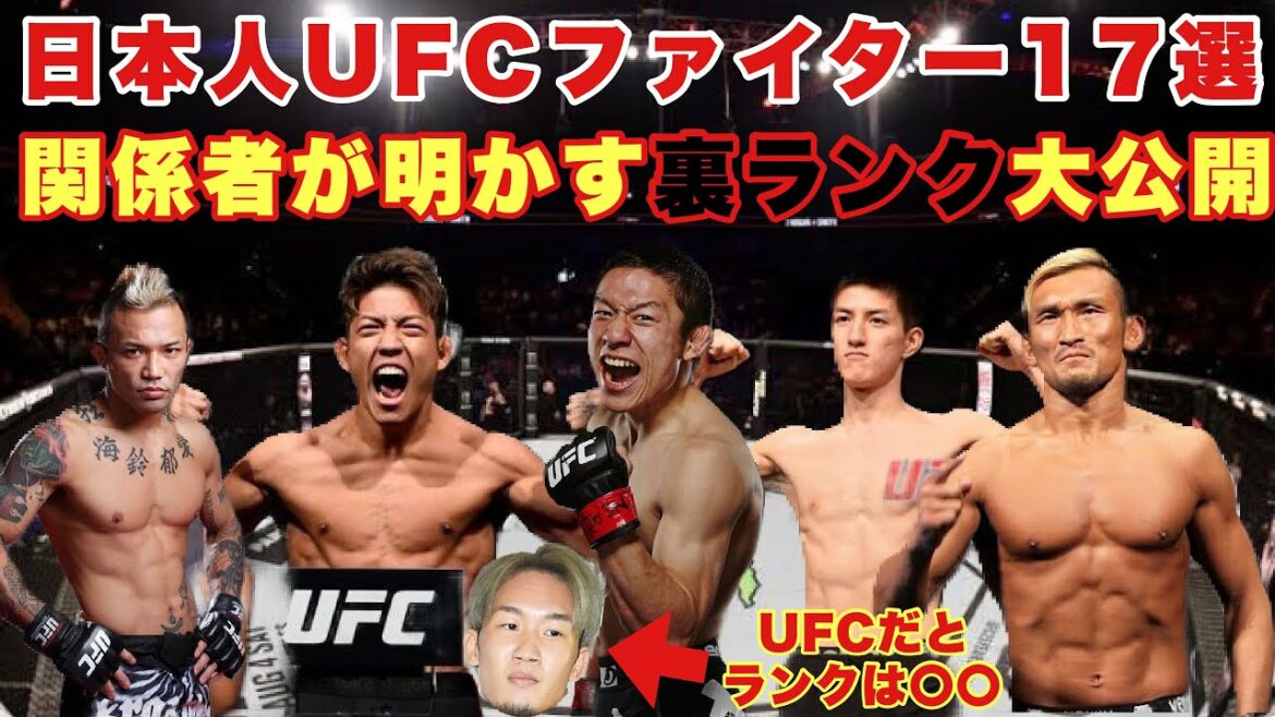 朝倉未来 UFC 挑戦したらどのランク？現実を知る勇気の無い方は見ないで下さい【朝倉兄弟 朝倉海】