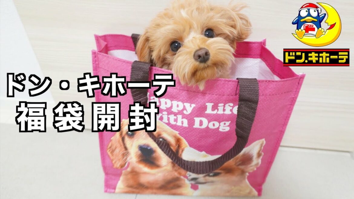 激安の殿堂ドン・キホーテの犬用福袋を開封した結果…【2022年】