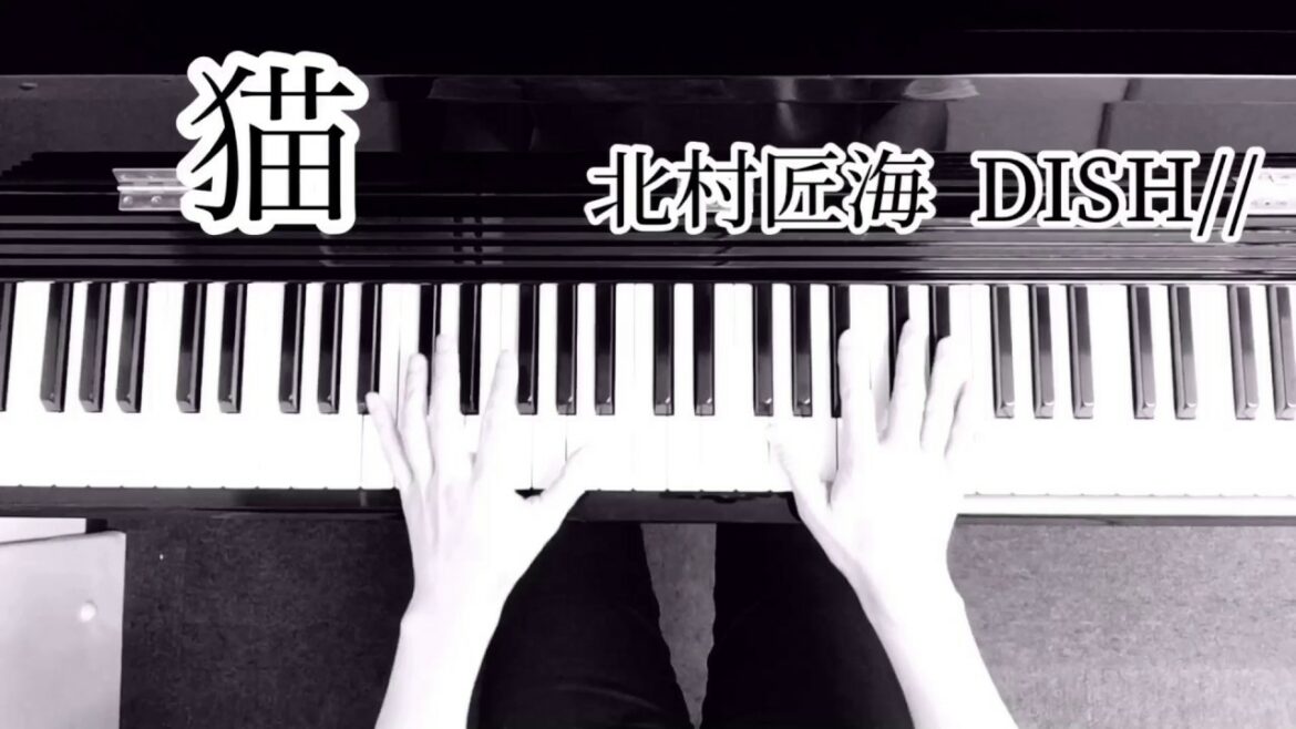 猫 - 北村匠海 DISH// (歌詞字幕付き)【ピアノ演奏】