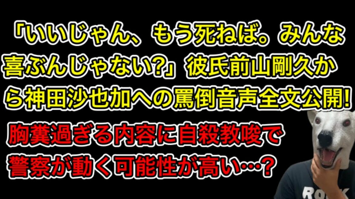 神田沙也加を罵倒する彼氏前山剛久の音声データ全文解説!あまりに酷い内容に警察が動く…?
