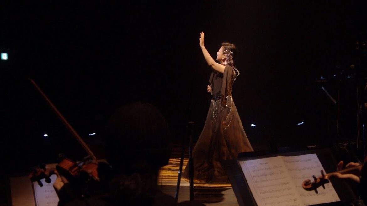 薬師丸ひろ子 - 戦士の休息 (Live)